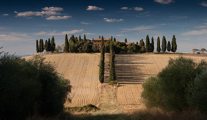 Azienda Agricola